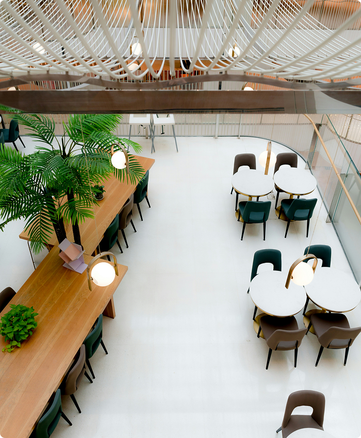 Interior commercial space featuring modern furnishings, large wooden table, green plants, and stylish lighting, illustrating a professional environment suitable for offices and common areas.
